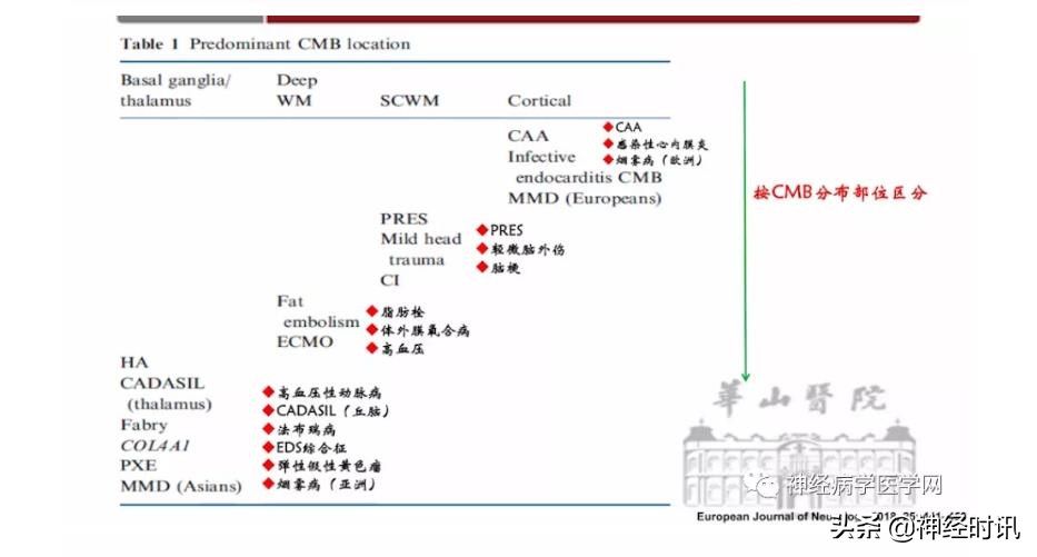 缺血性脑血管病出血评估,脑血管微出血怎么治疗
