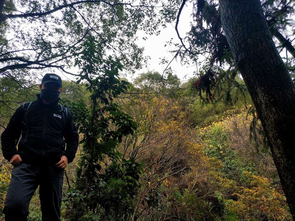 sog战术抓绒衣,sog战术抓绒套