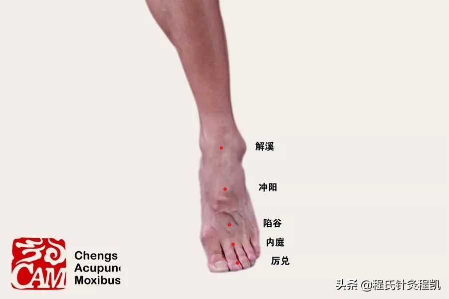 中医证型：脾胃湿热是怎么回事，该如何调理？