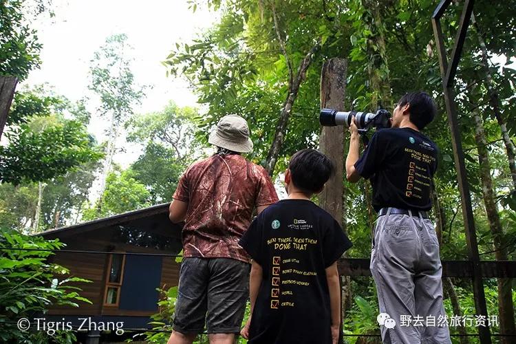 待疫情平息,和孩子一起探索“失落的世界”婆罗洲原始雨林