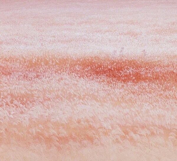 落叶孔绍安五言绝句,描写落叶的五言绝句