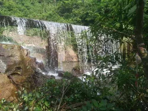 在年岁即将交替的时光里「这一年大岭山都发生了什么大事」