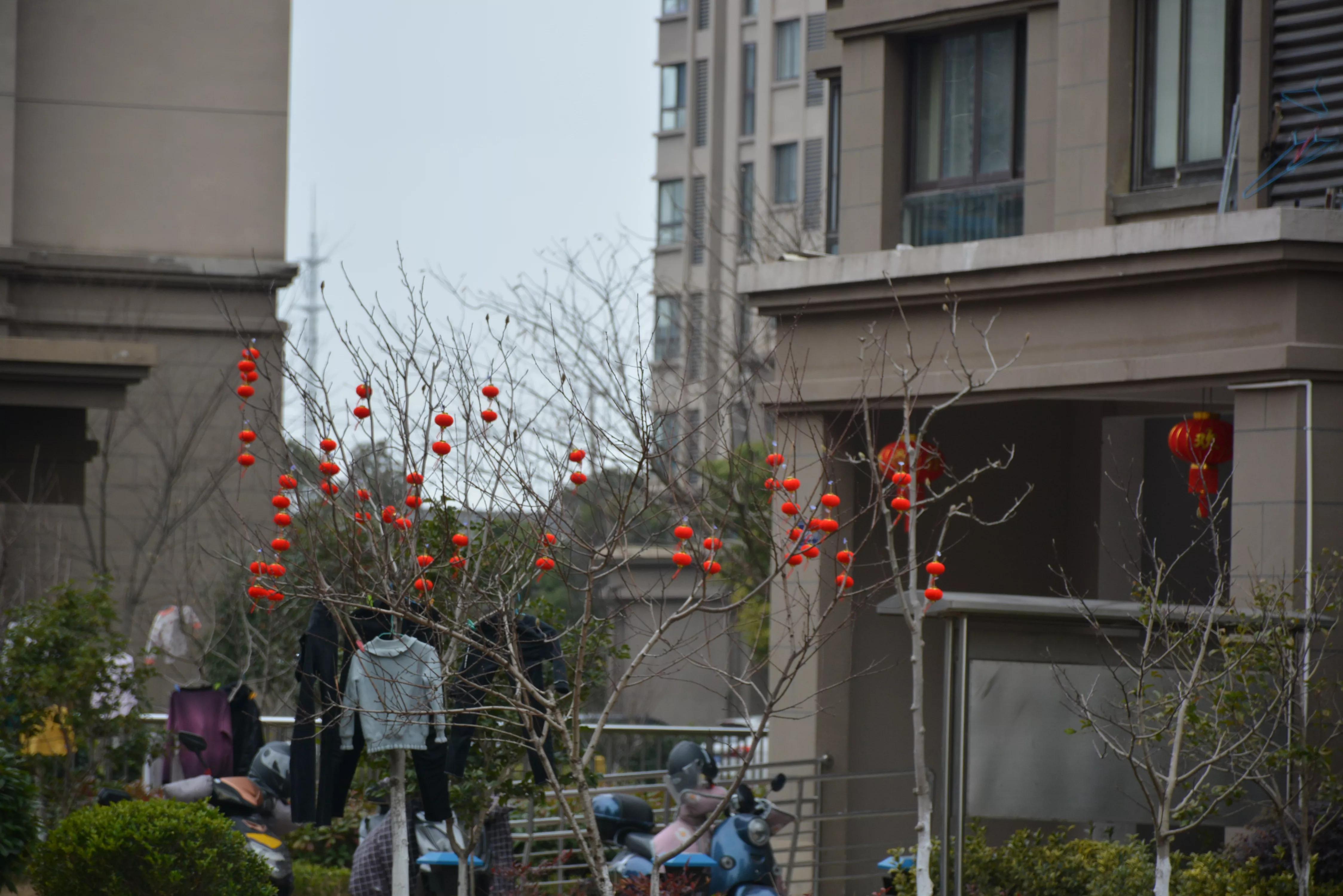 能坚持四季如春就好了（湖畔雅居的春天）