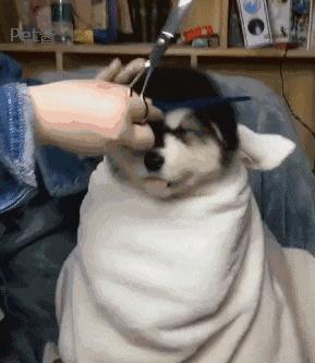 6种整容级刘海,换刘海整容这5款刘海最显脸小