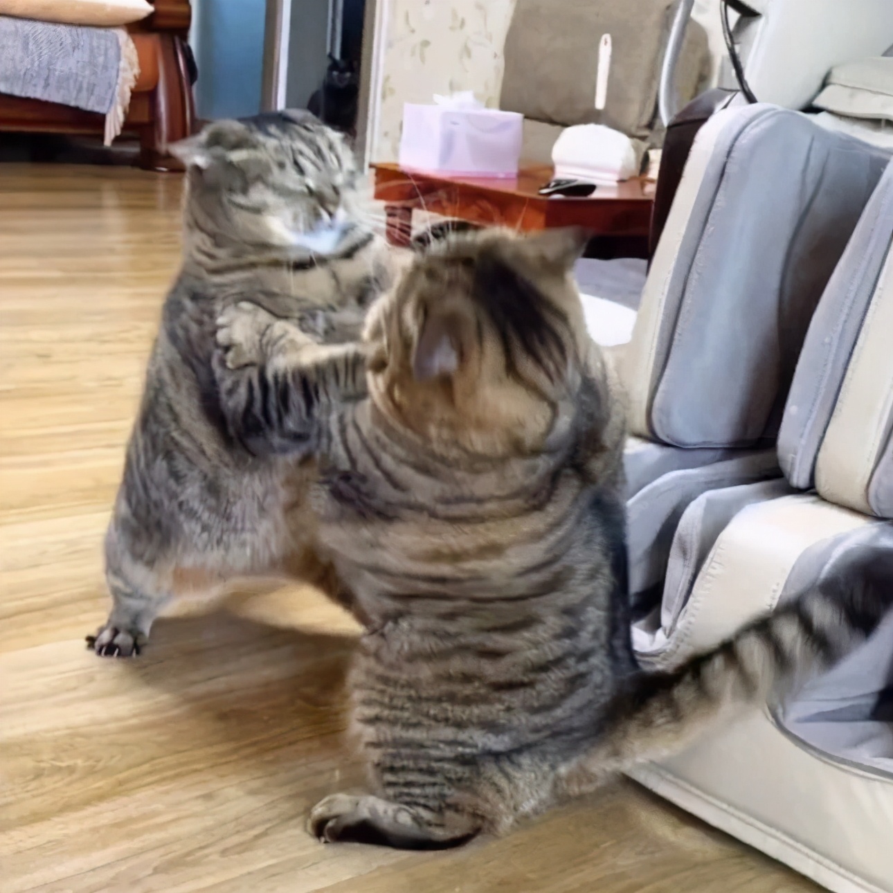 打马赛克的段子,关于马赛克的经典段子