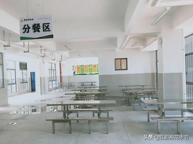 赣县稀金二小教学质量,赣县区稀金第二小学学费
