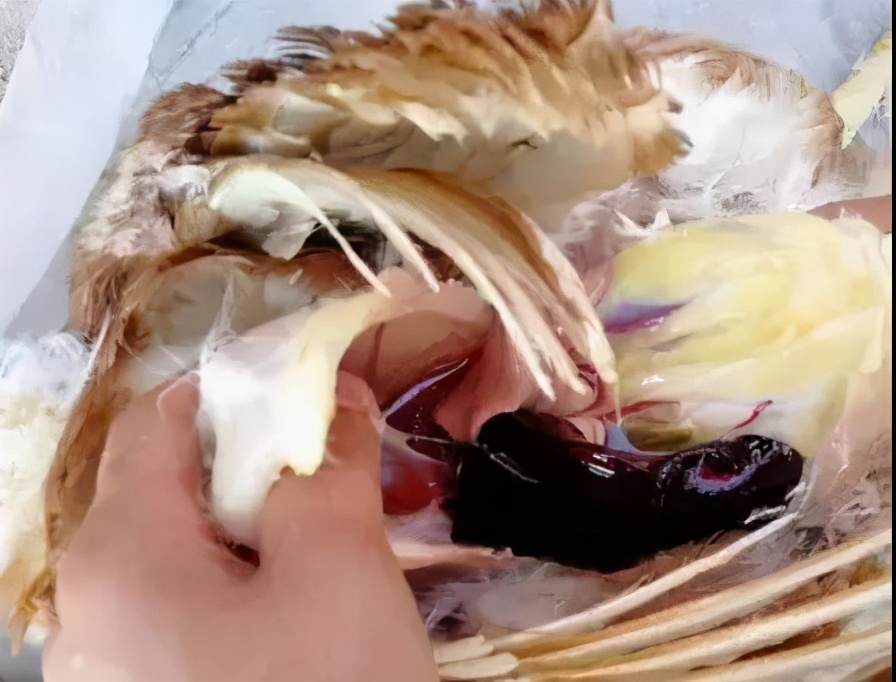 什么原因会引起肝破裂,肝破裂都有啥原因