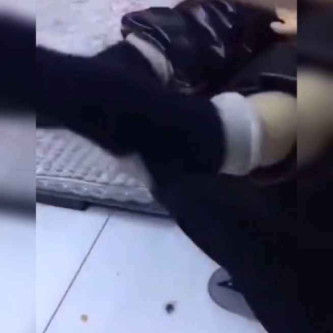 为什么宝宝脱掉袜子会紧绷双腿,宝宝脱鞋脱袜子是怎么回事