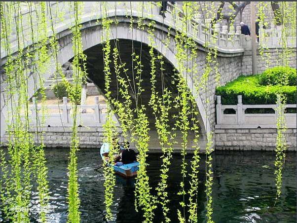 杨柳小古文全文,小古文欣赏杨柳