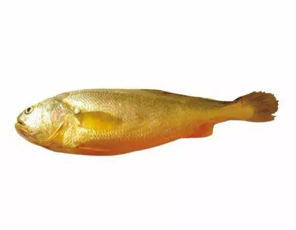 史上最全海鲜视频,史上最全海鲜贝类大全