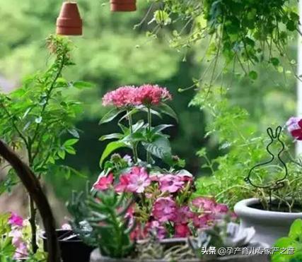 小孩乱吃植物严重后果视频,宝宝误食的植物有哪些