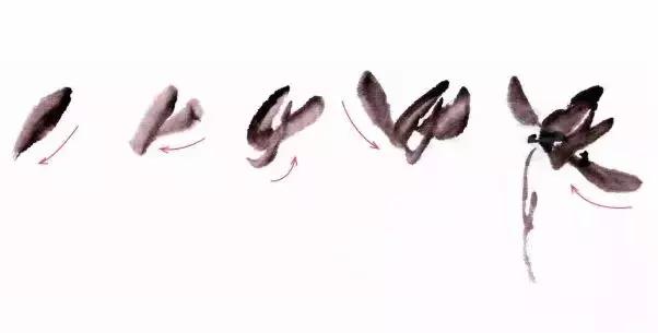 跟徐湛学国画兰草的画法,跟徐湛老师学国画全集兰草画法