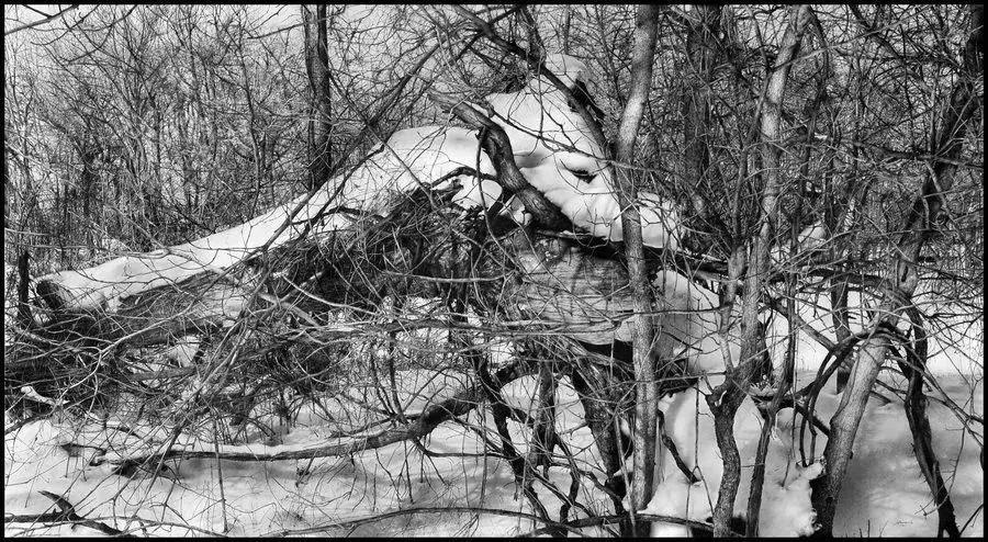 素描画画教程7-12岁素描风景画,设计素描和超写实素描