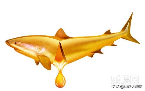 鱼油老年保健品作用,中老年深海鱼油功效