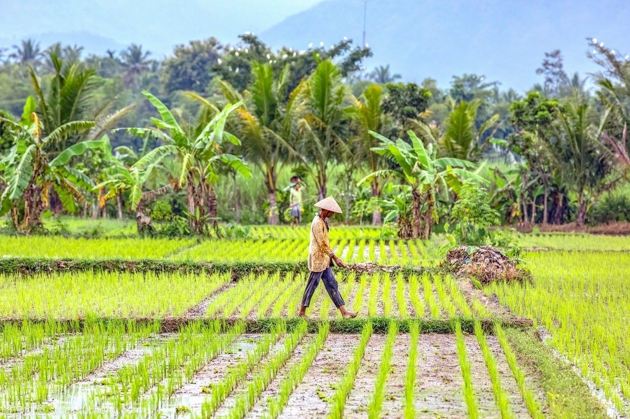 爪哇岛是全国人口最稀疏的地区吗,爪哇岛人口多的地方