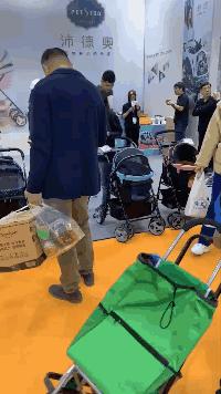 宠物经济背后的真实故事,宠物经济现状大爆发