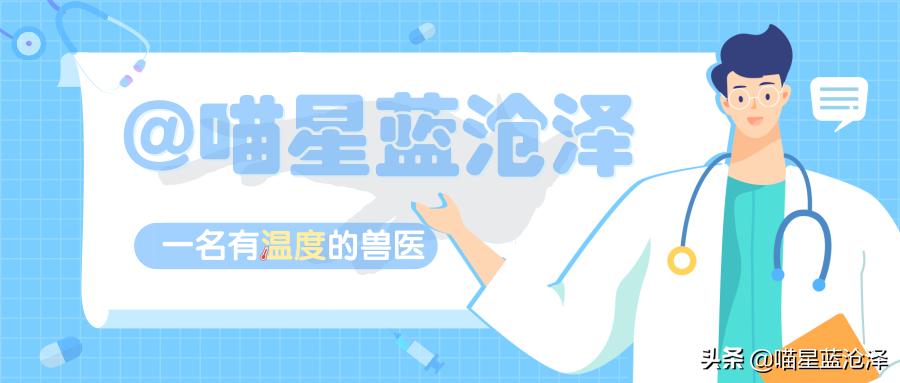 宠物spa的六大好处,宠物spa水疗