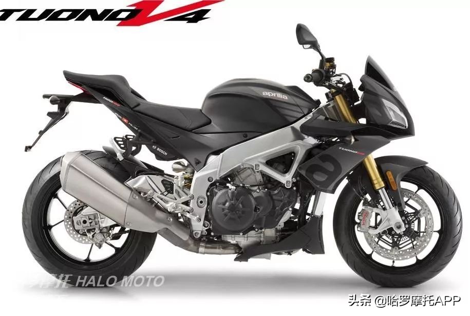 街车最新,街车最新行情