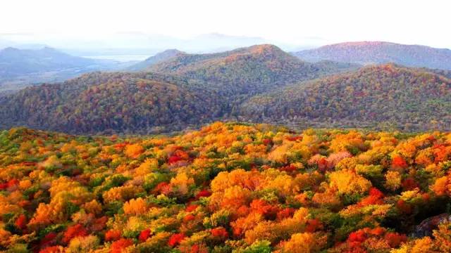 有人问你：哈尔滨哪个区（市）县最大哪个最小？都有啥？你知道不