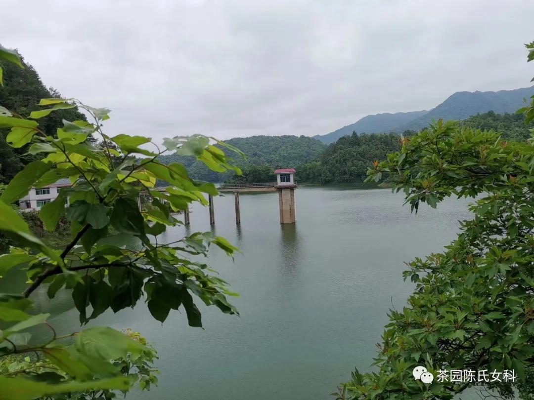 痰湿型高血脂中药治疗,中医治高脂血症的方法