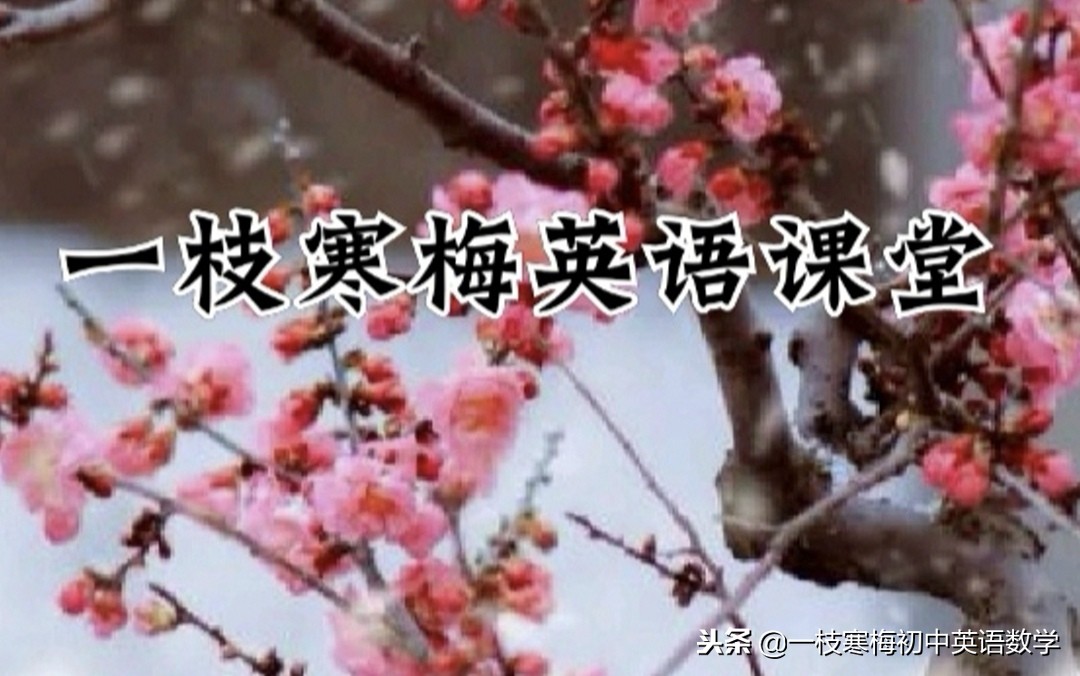 英语90秒的小故事,英语小故事50篇带翻译