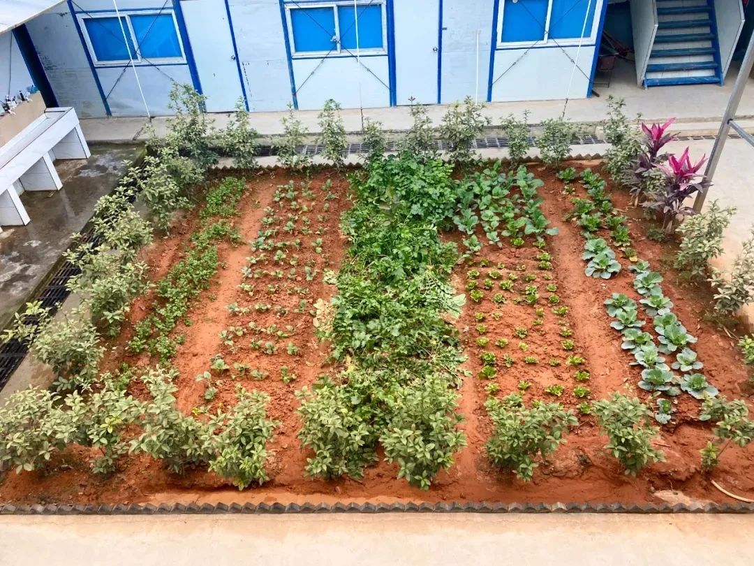 工地新技术新工艺,施工新工艺有哪些