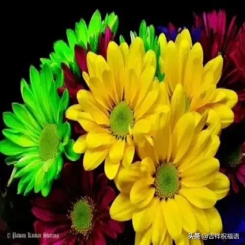 经典中的经典才是经典,经典永远堪称经典