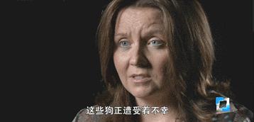 养狗狗需要注意哪些,养狗狗要小心