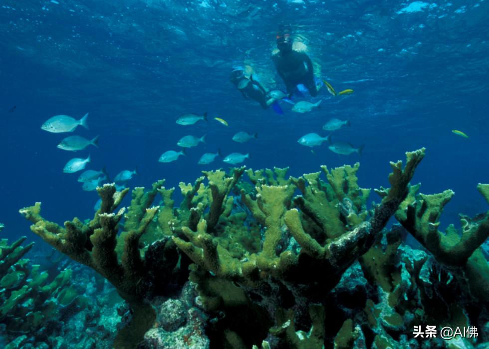 美国最受欢迎的五个州,美国最受欢迎的景点排行榜