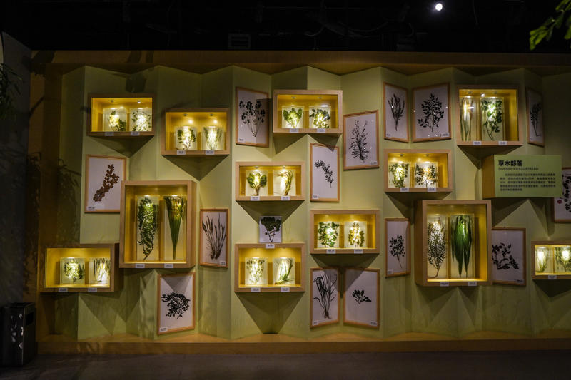 山东周边游2天1夜小众,5.1山东五日游