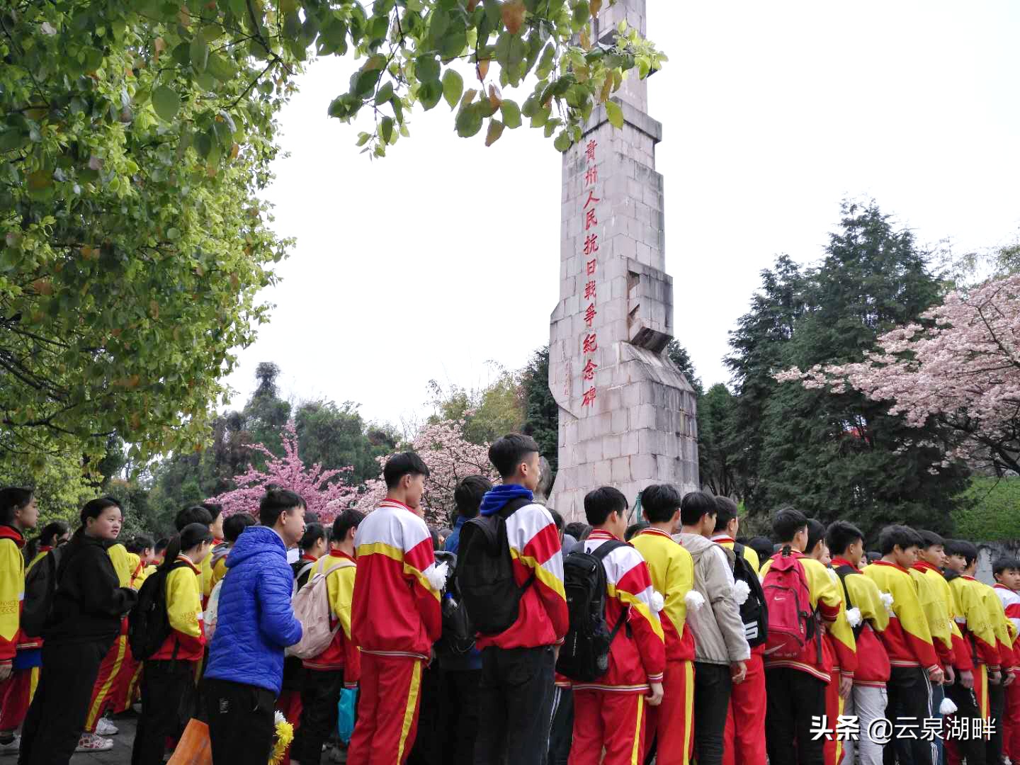 清明节扫墓纪念革命先烈学校,学校清明节缅怀先烈讲红色故事