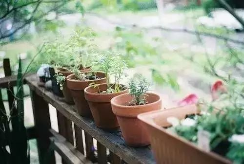 12个句子看透人世浮华,看透人世浮华做一个简单的人