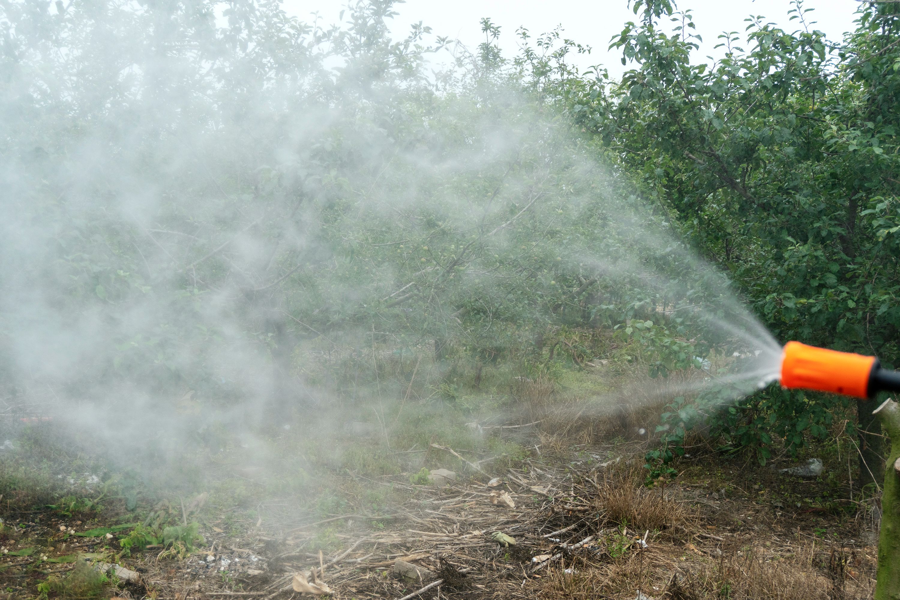 自助洗车步骤怎么洗才干净,绿田洗车机洗车步骤
