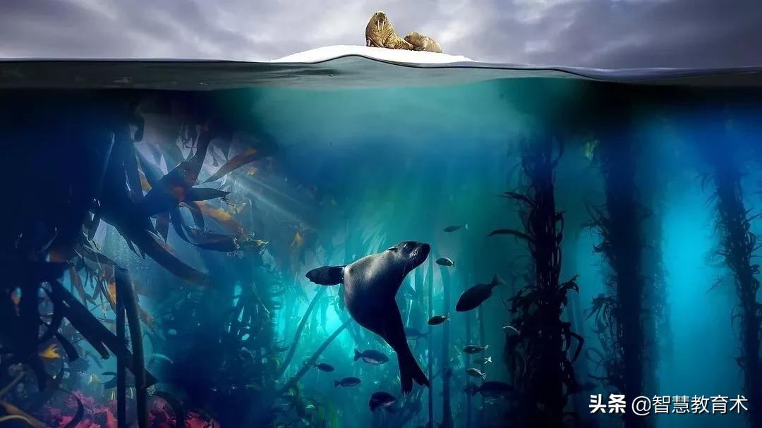 24部儿童电影推荐给你和孩子,假期带孩子看这几部经典儿童电影