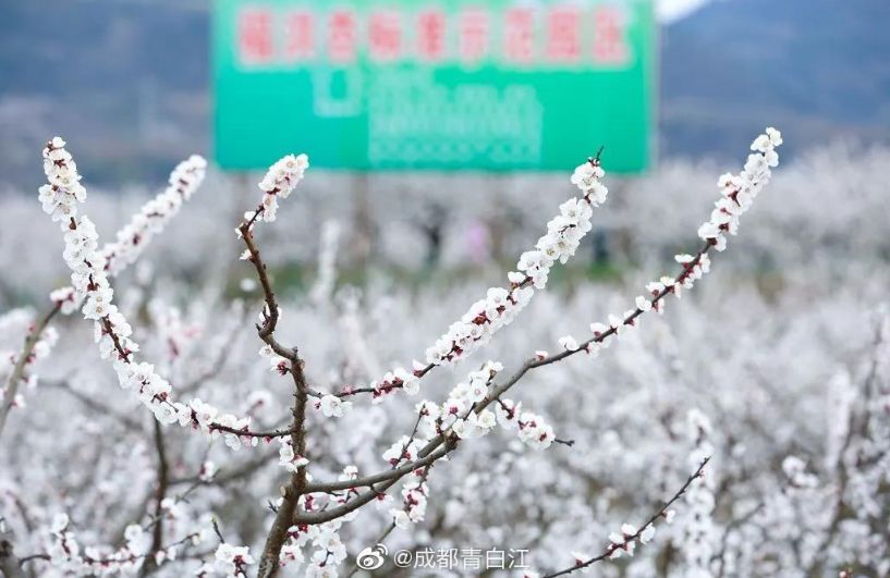5月18日成都免费游博物馆怎么预约,成都周边游玩哪些地方需要预约的
