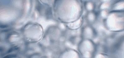 戚薇直播洗发,戚薇最近晒出的一款洗发露