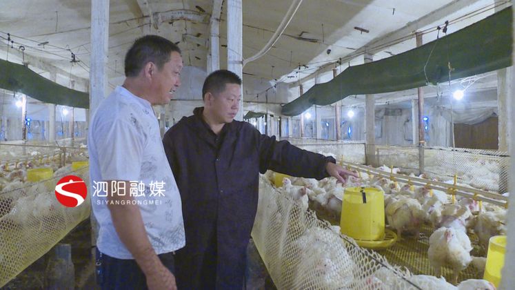 史修银：养殖行业里打拼创业致富不忘家乡人