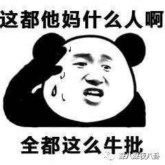 她这一辈子的感情就要过完了，结果我还单身着呢