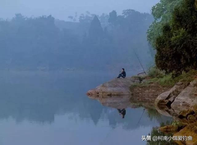 夏季晚上钓鱼突然停口是什么原因,夏天晚上钓鱼突然停口是什么原因
