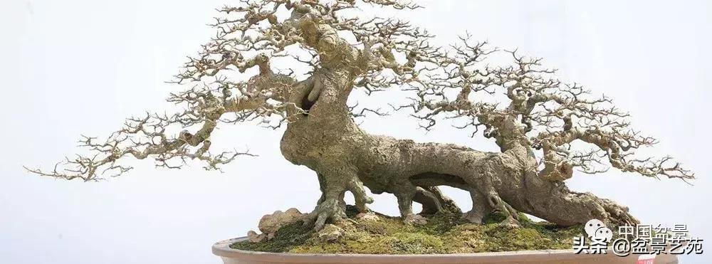 鏈存爲寰楀鐩嗘櫙,椤剁骇鏈存爲鐩嗘櫙娆ｈ祻