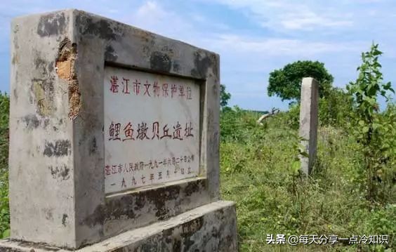 九个很有意思的冷知识,湛江冷知识