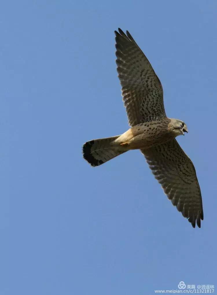 天坛最近发生什么事,北京天坛现在的状况