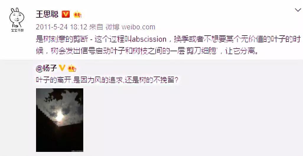 高质量男性王思聪,王思聪谈男人