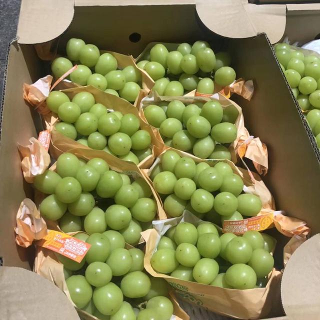 深圳什么蛋糕品牌最好,深圳面包蛋糕的品牌排行榜