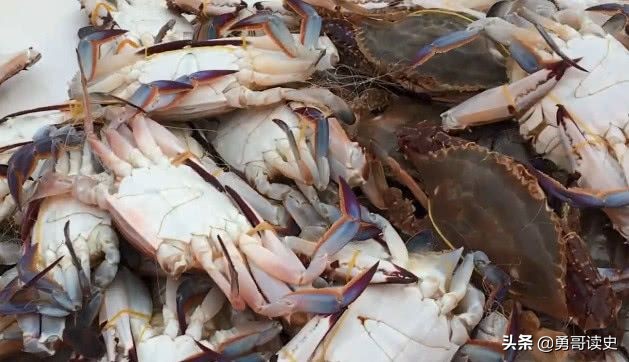 天津八大怪全集,天津三大怪