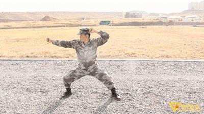 动图动作教学,动图打法