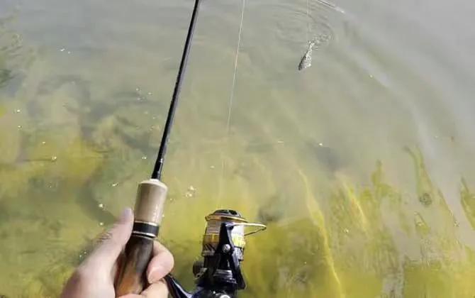 初学路亚应该准备哪些钓具,初学者路亚用什么钓具好