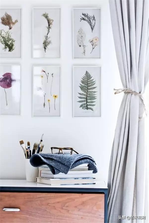 植物标本如何做简单又好看,植物能做什么手工
