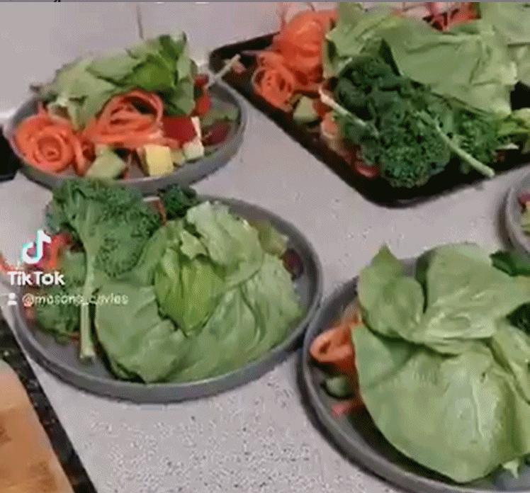 一群母豚鼠混入一只公豚鼠后：生几十只鼠崽，铲屎官年入几十万