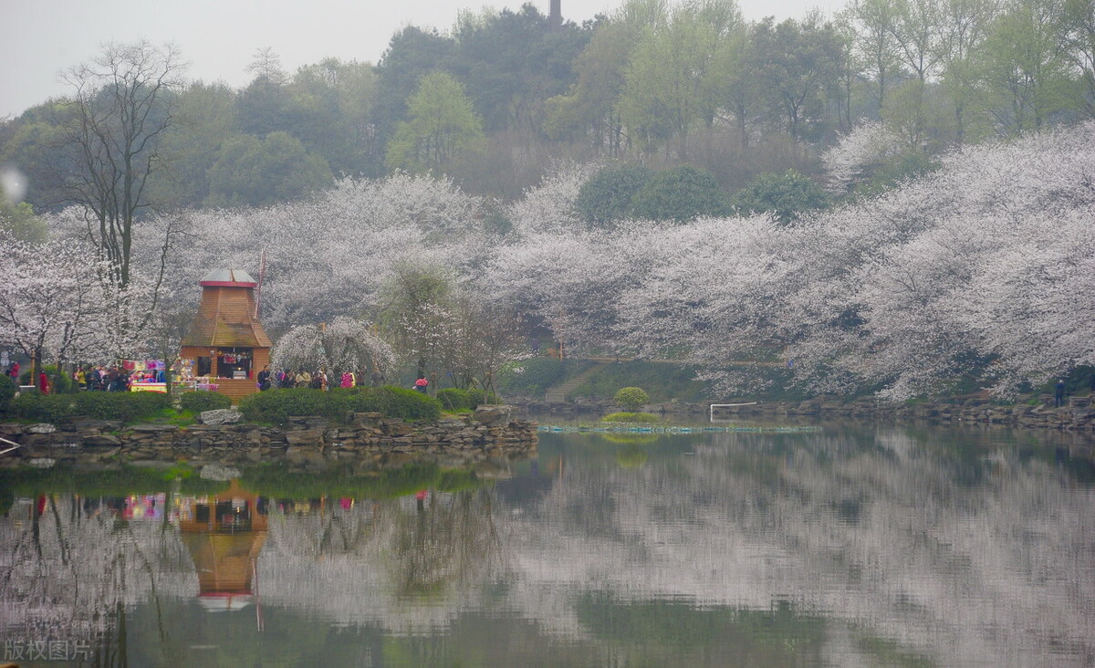 长沙本地一日游最佳路线,长沙一日游旅游线路